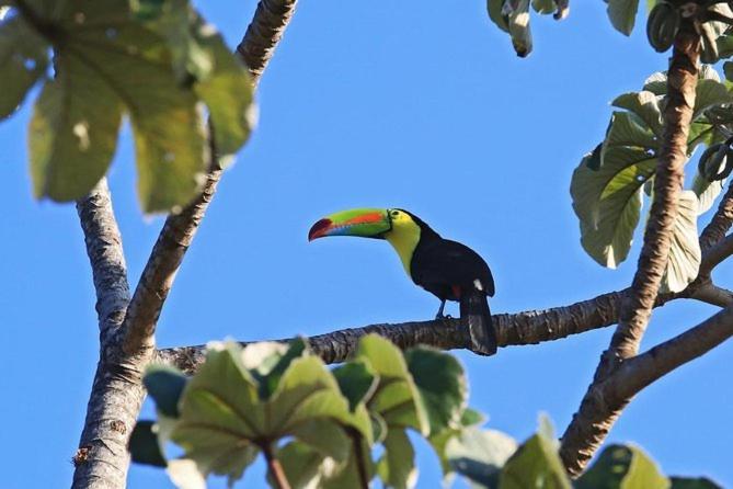 Cabana Itze La Fortuna Exteriör bild